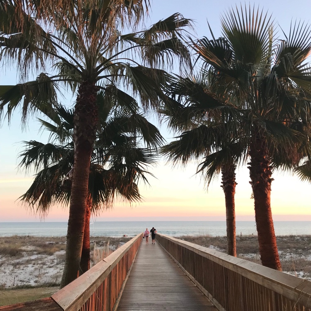 Meet your Posher, Remington